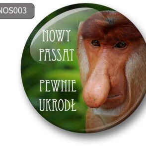 Magnes na lodówkę nosacz