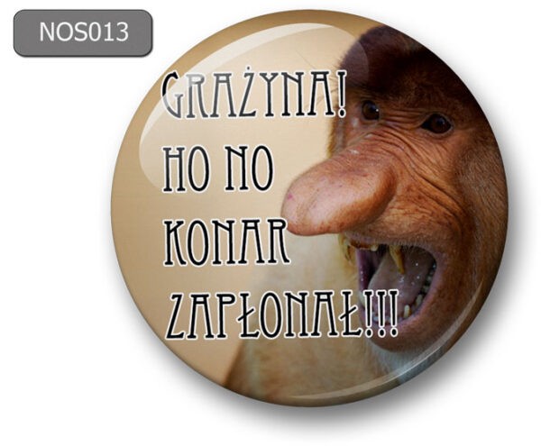 Magnes na lodówkę nosacz