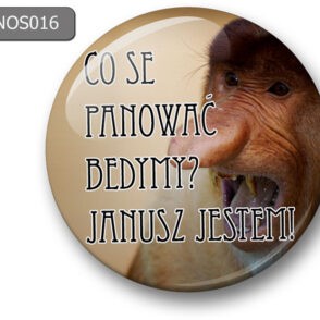 Magnes na lodówkę nosacz