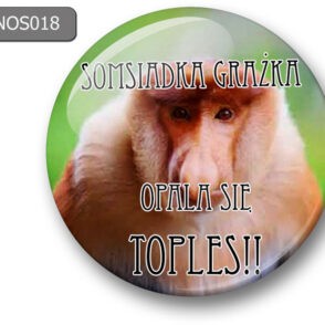 Magnes na lodówkę nosacz
