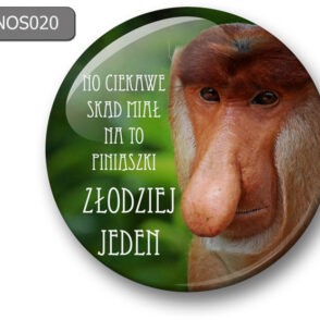 Magnes na lodówkę nosacz