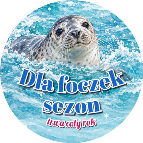 Wzór: Przypinka Dla Foczek Sezon Cały Rok – zimowa grafika z napisem Dla foczek sezon trwa cały rok