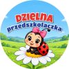 Wzór: Przypinka Dzielna Przedszkolaczka Biedronka z Kokardą – grafika z napisem Dzielna przedszkolaczka