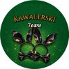 Wzór: Przypinka Kawalerski Team Dwie Opaski Króliczka – grafika z napisem Kawalerski Team