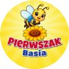 Wzór: Przypinka Pierwszak z Imieniem Pszczółka – napis Pierwszak i pole imię