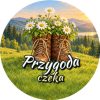 Wzór: Przypinka Przygoda Czeka – grafika z napisem Przygoda czeka