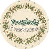 Wzór: Przypinka Przyjaźń i Przygoda Wianek Stokrotek – grafika z napisem Przyjaźń i przygoda
