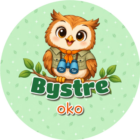 Wzór: Przypinka Sowa Obserwator – grafika z napisem Bystre oko