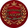 Wzór: Przypinka Spotkanie Klasowe Złota Tarcza – napis Spotkanie klasowe i pole imię i nazwisko na eleganckiej grafice